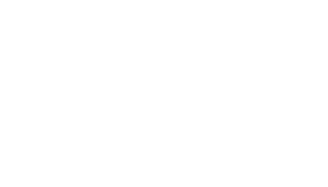 Iowa Swarm